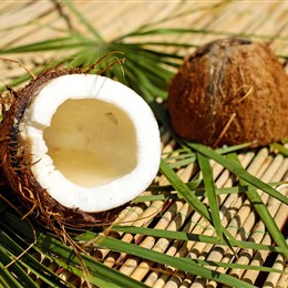 Hereford Spa Blog - is coconut the wonder nut?